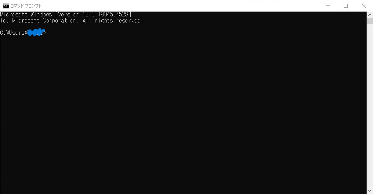 コマンドプロンプトを起動したところ